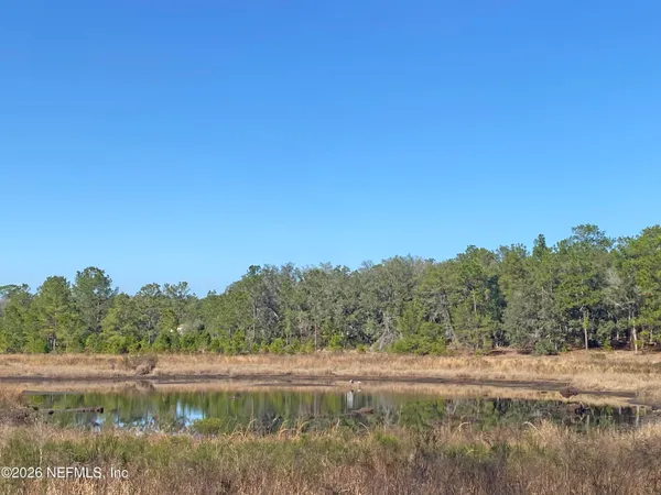 a view of back yard of the house