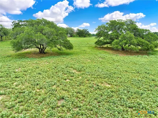 $2,000,000 | 1494 County Road 433, Stockdale, TX 78160