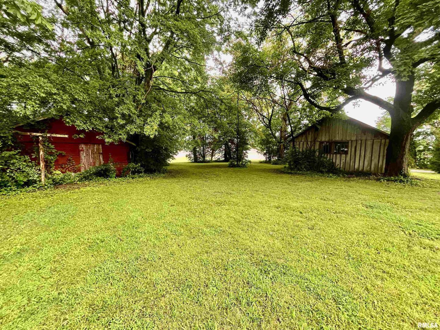 2664 Highway 145 Metropolis, IL 62960 - Photo 10 of 29 a view of a tree in front of a house