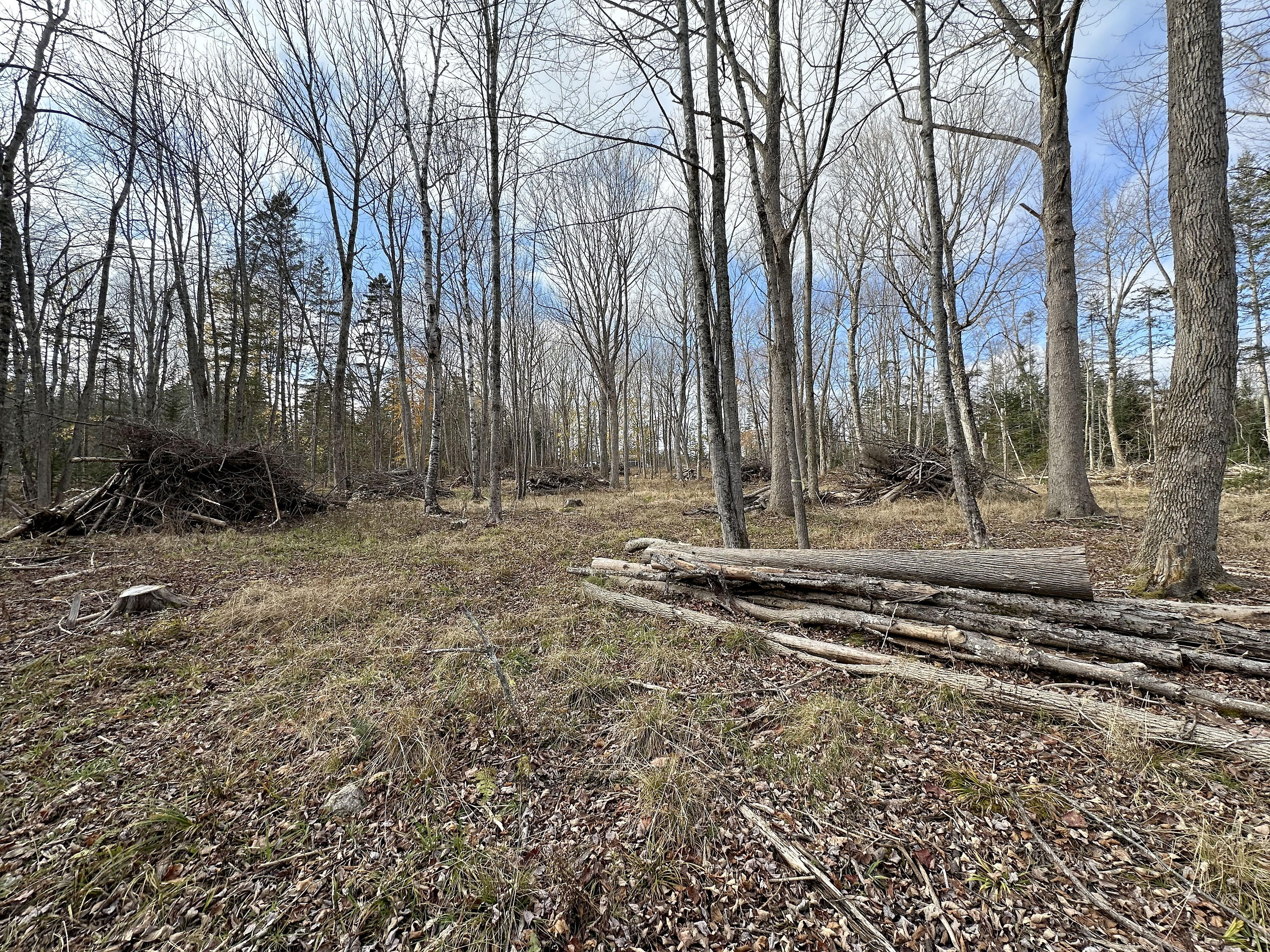 102 Naskeag Point Road Brooklin, ME 04616 - Photo 12 of 22 102 Naskeag_012