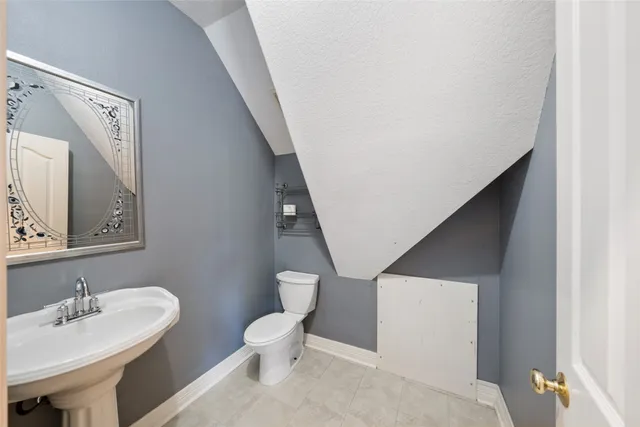 a view of a forest covered with trees