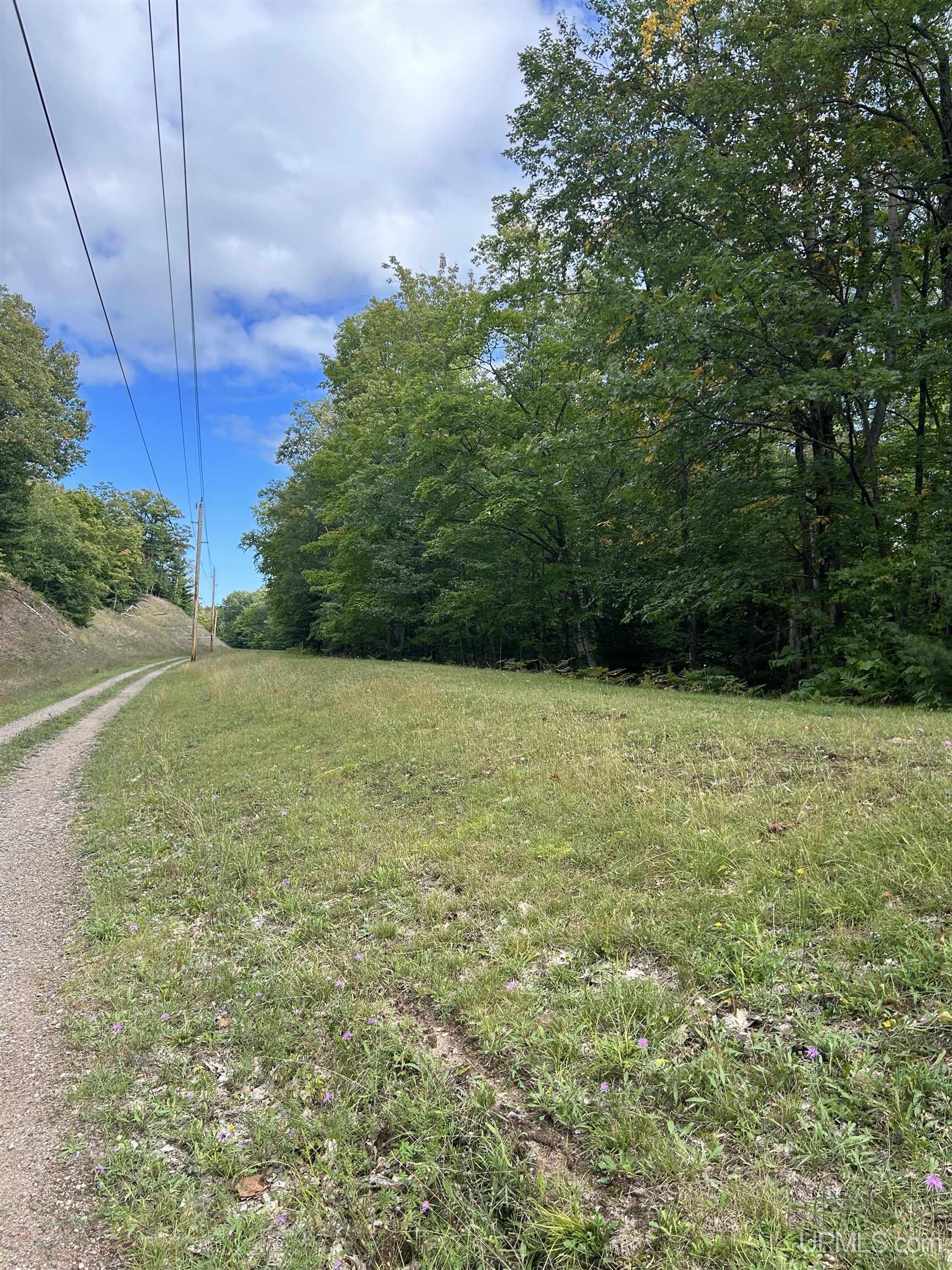 Off McClure Dm Road Negaunee, MI 49866 - Photo 4 of 29 Gallery Image 4