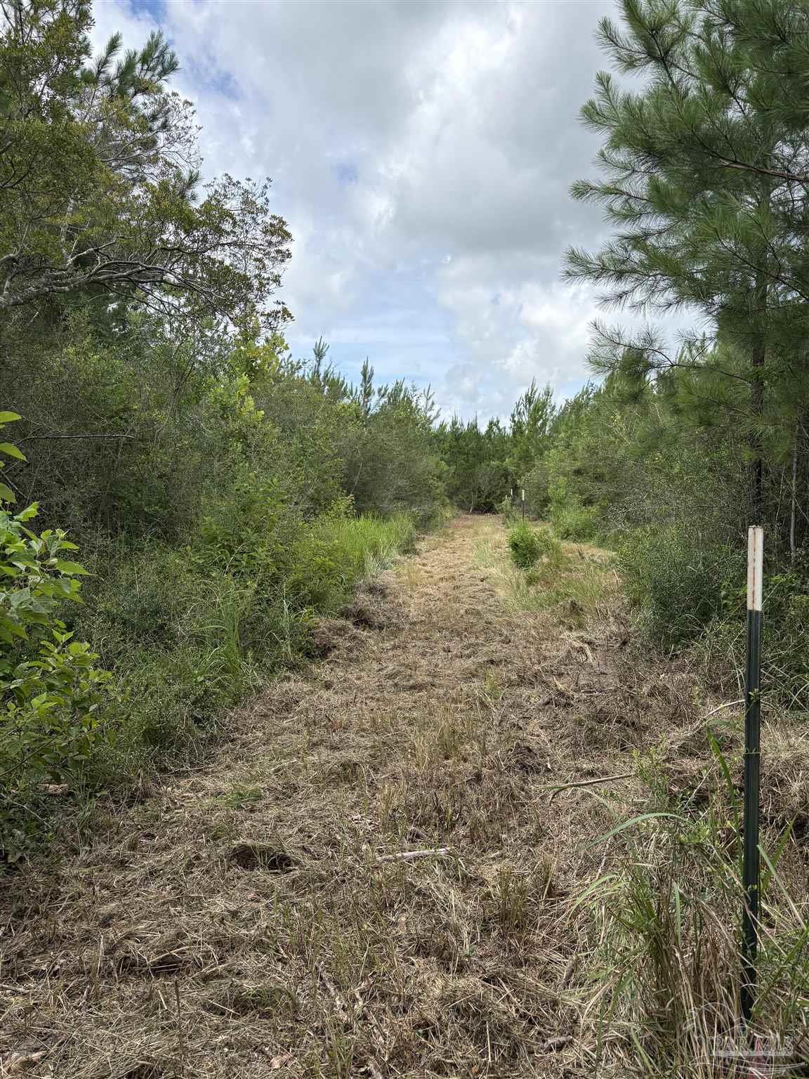 2800 Velor Road McDavid, FL 32568 - Photo 5 of 10