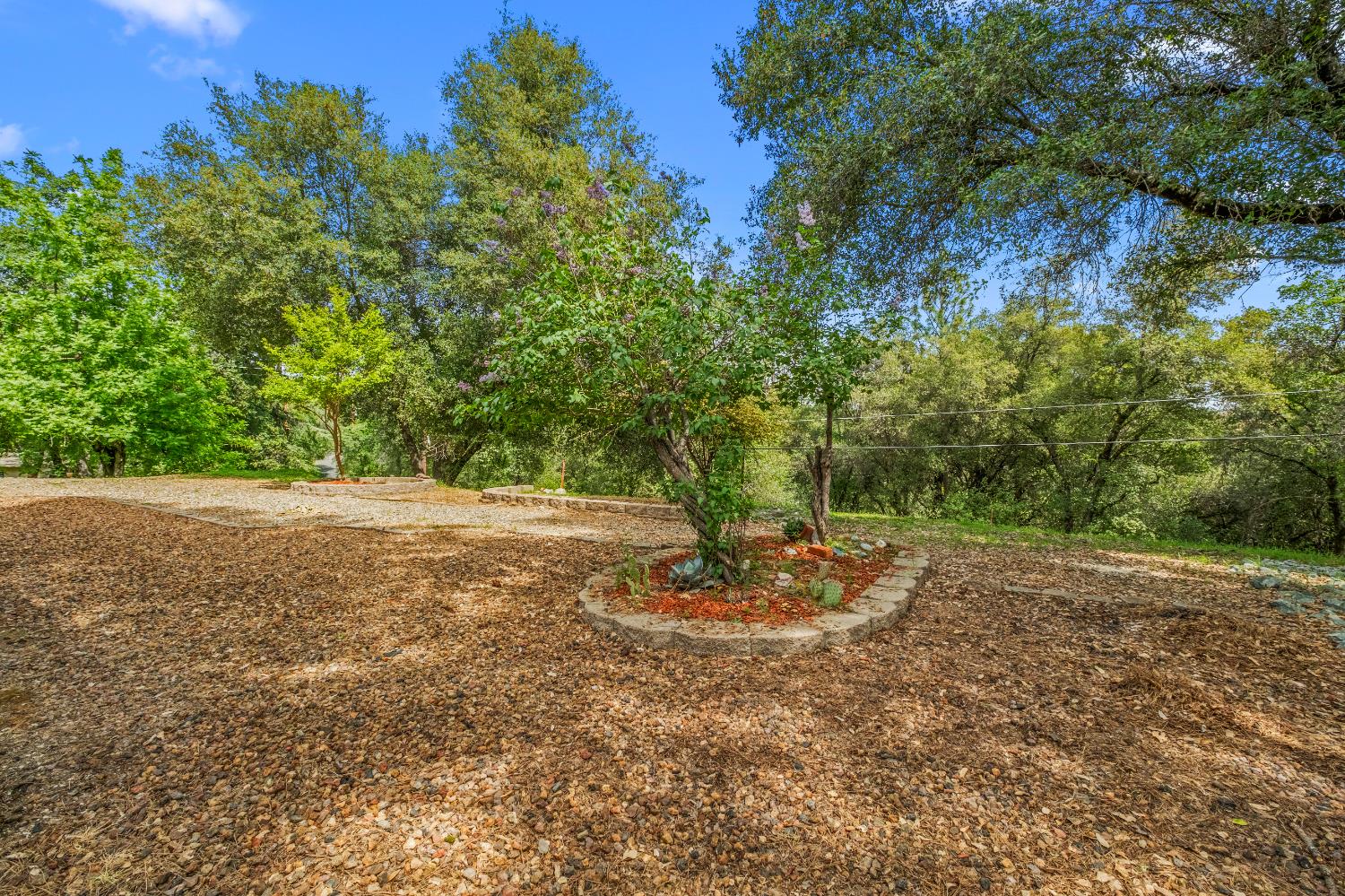 4612 South Point Road Diamond Springs, CA 95619 - Photo 56 of 68