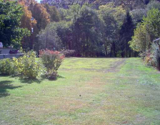 5801 Maysel Procious Road Procious, WV 25164 - Photo 3 of 8 Other. VIEW OF YARD