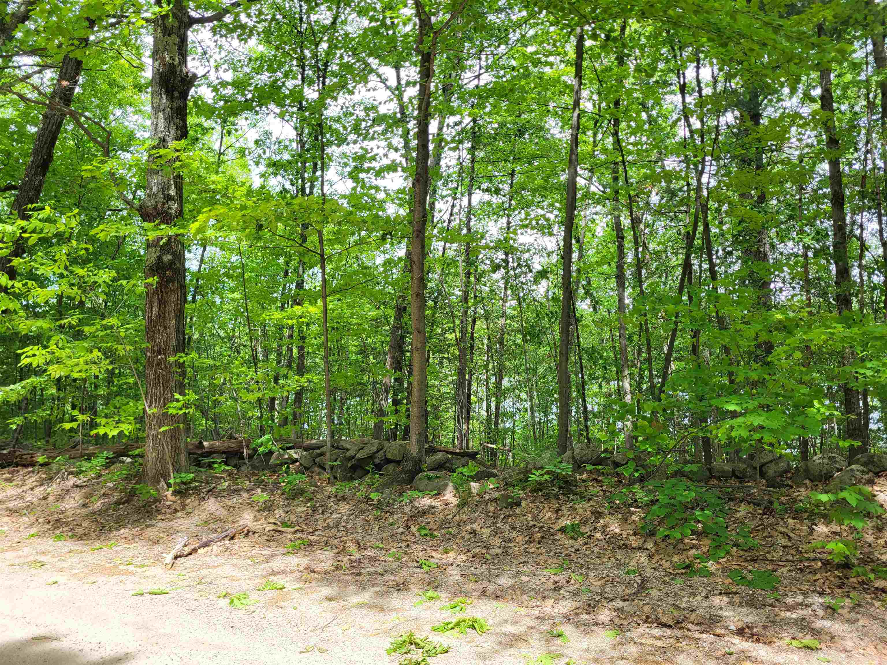 136 Martin Road Weare, NH 03281 - Photo 8 of 9