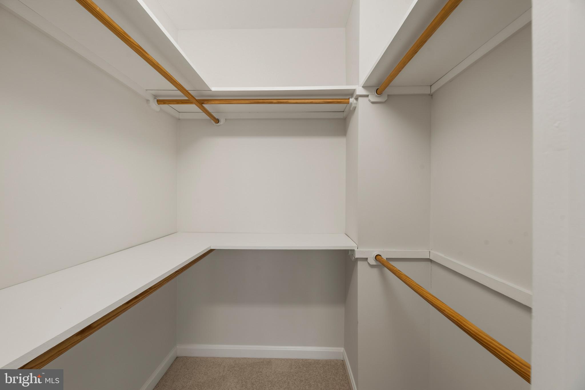 5929 Deale Beach Road Deale, MD 20751 - Photo 41 of 58 Walk in closet featuring light colored carpet