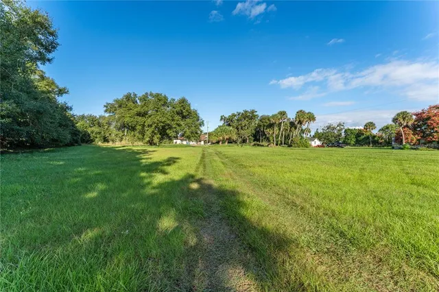 a view of a grassy field with trees in the background