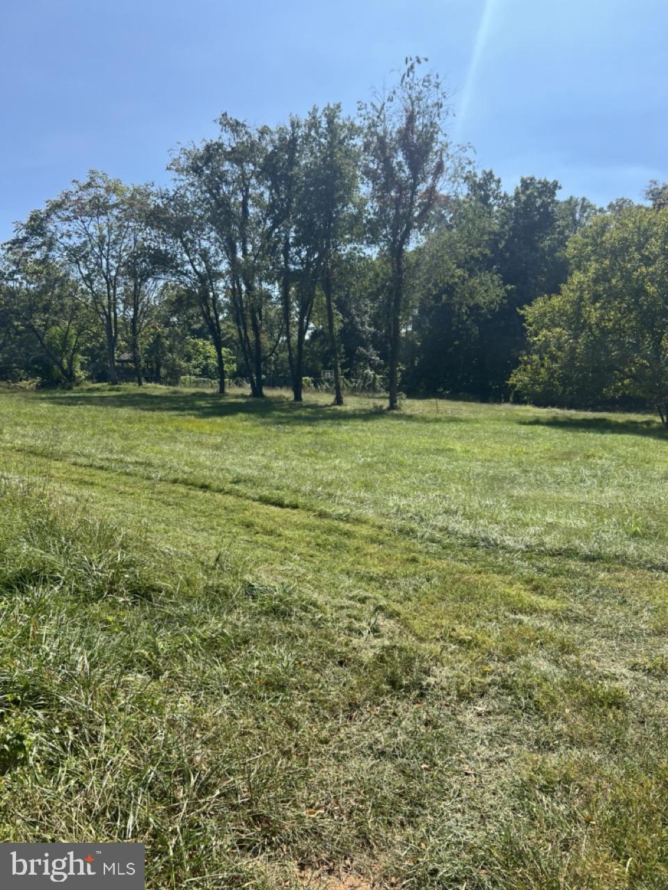 10440 Oaklyn Drive Potomac, MD 20854 - Photo 5 of 8