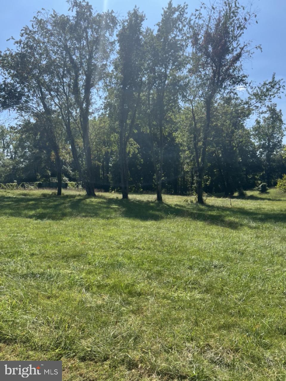 10440 Oaklyn Drive Potomac, MD 20854 - Photo 6 of 8