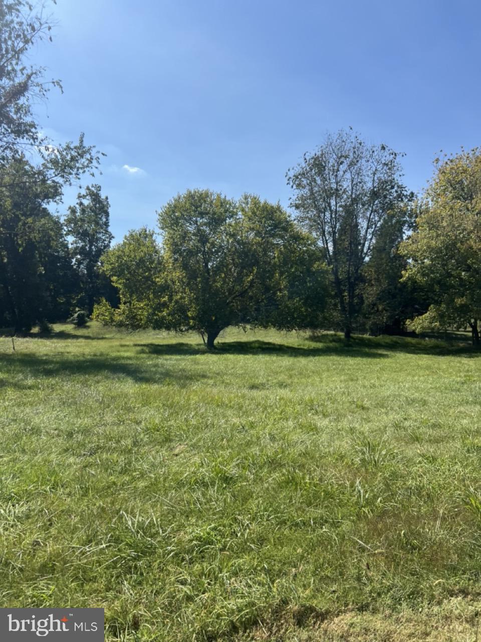 10440 Oaklyn Drive Potomac, MD 20854 - Photo 7 of 8