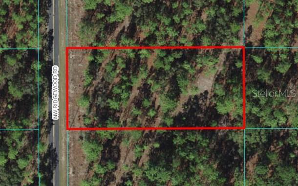 23 Northwest Ridgewood Road Dunnellon, FL 34431 - Photo 1 of 1 Gallery Image 1