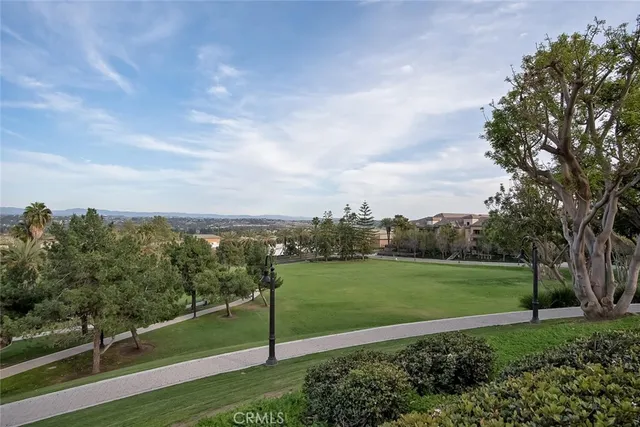 a view of a dry yard