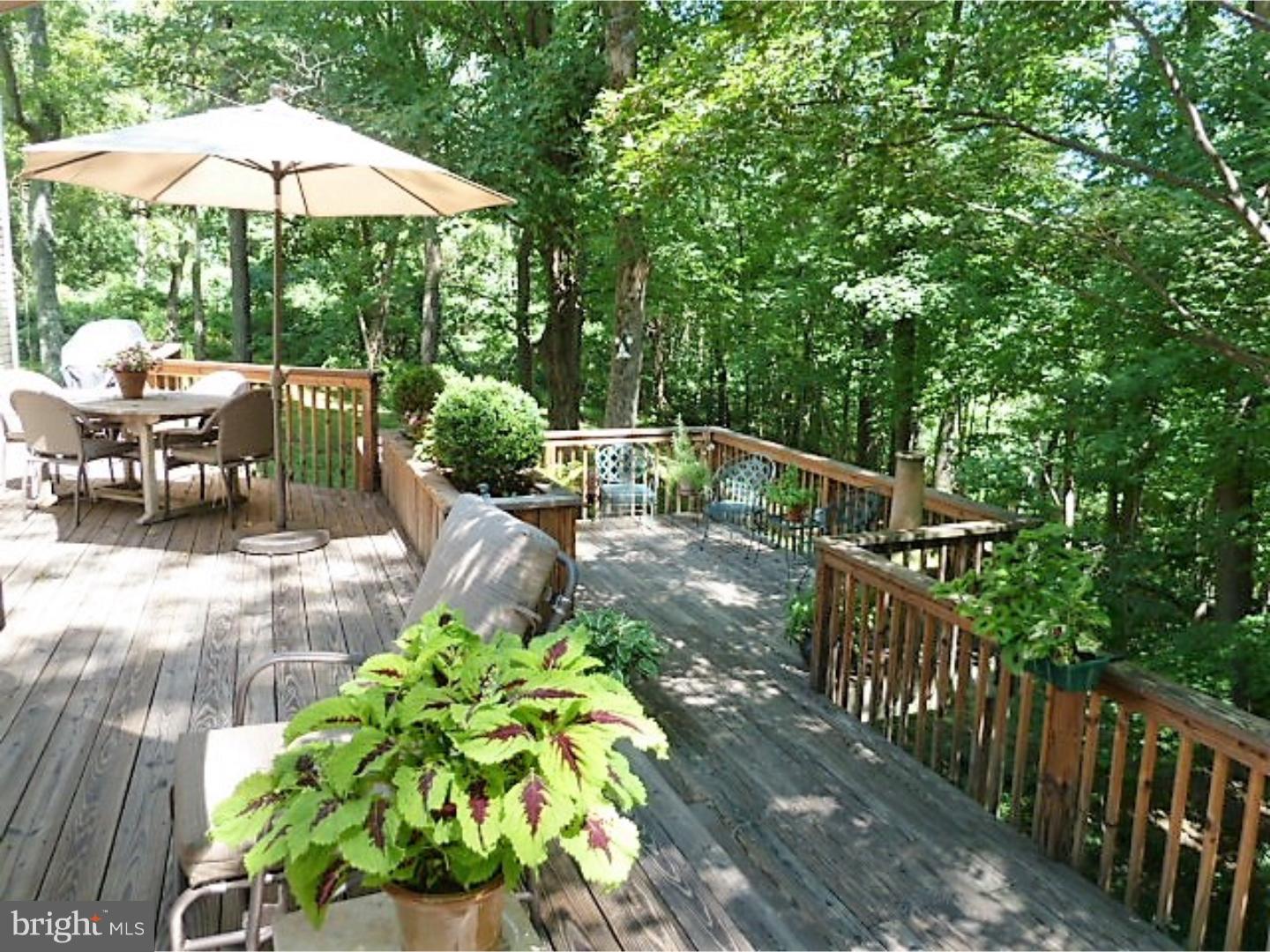 1154 Swamp Road Furlong, PA 18925 - Photo 3 of 25 Deck