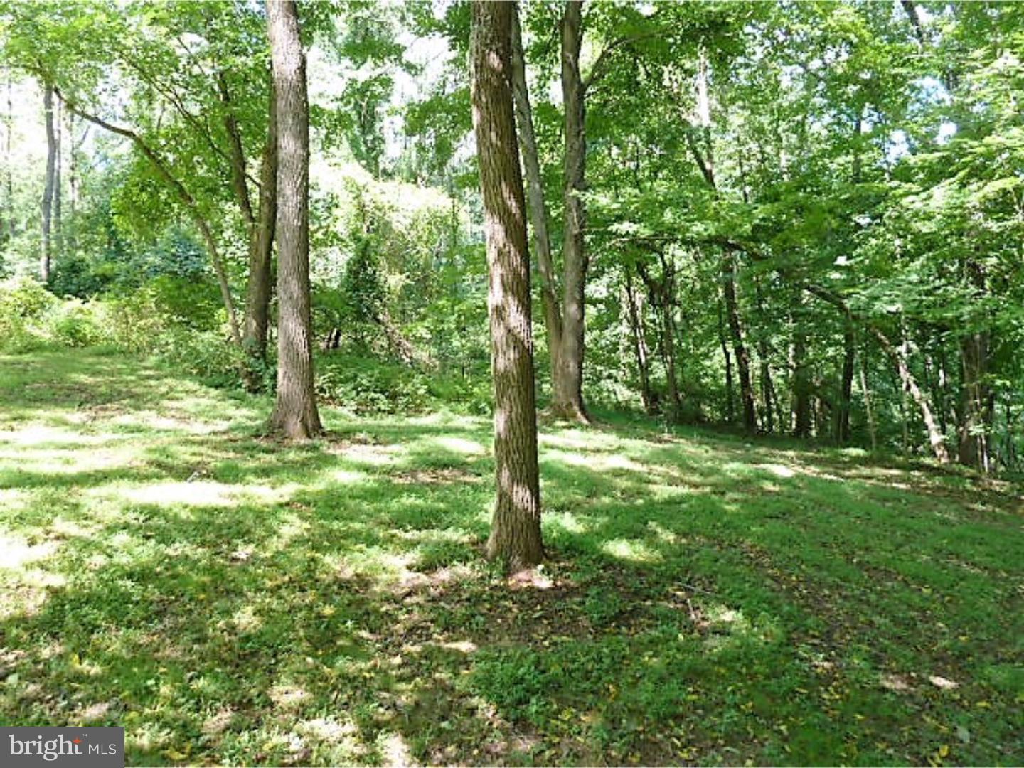 1154 Swamp Road Furlong, PA 18925 - Photo 24 of 25