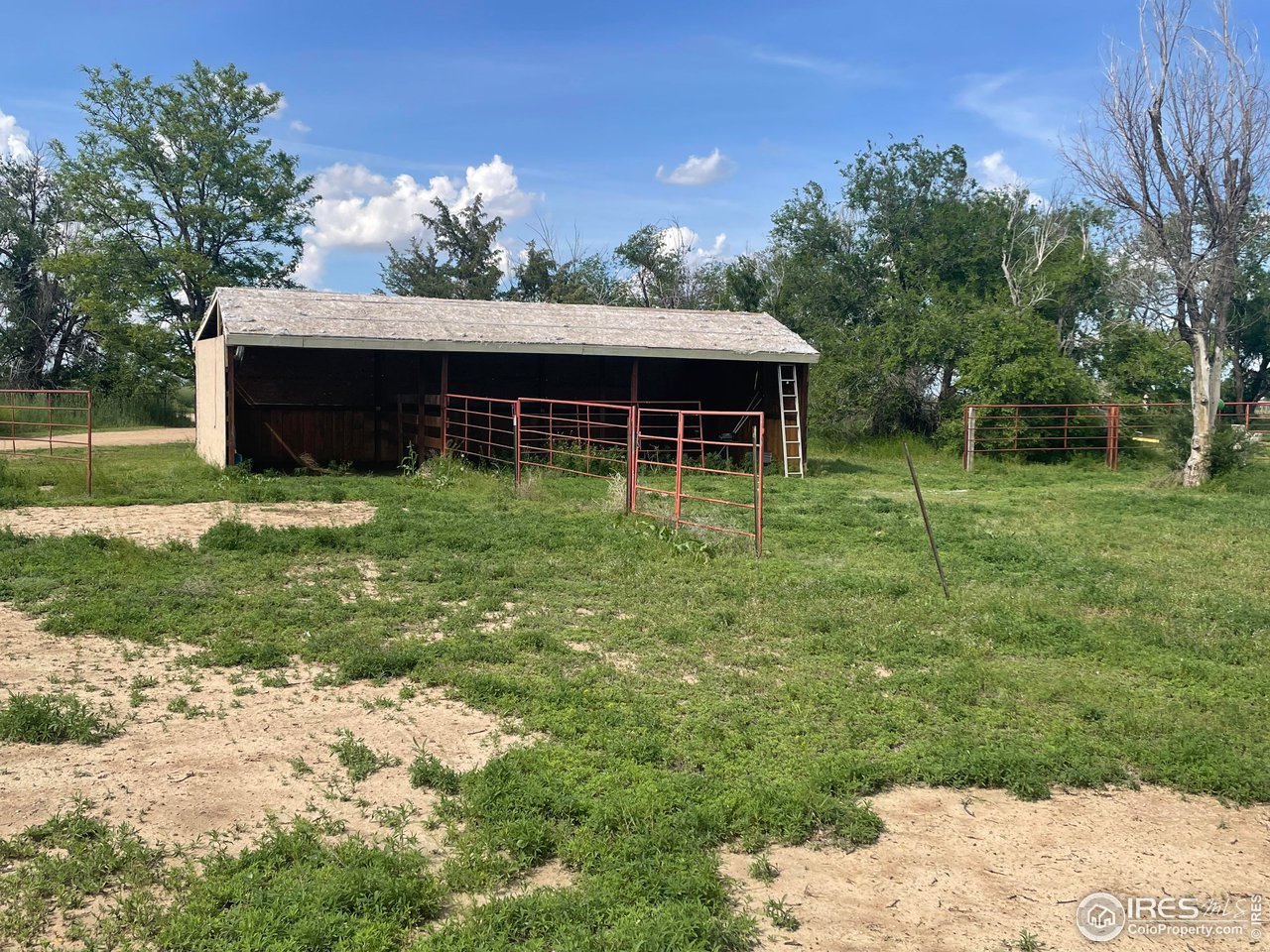 9485 County Road 15 Firestone, CO 80504 - Photo 6 of 15 Loafing shed with gates and pens