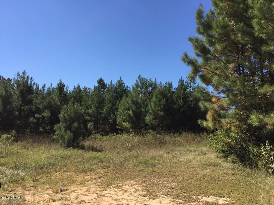1848 Porter Road Cottondale, FL 32431 - Photo 5 of 14
