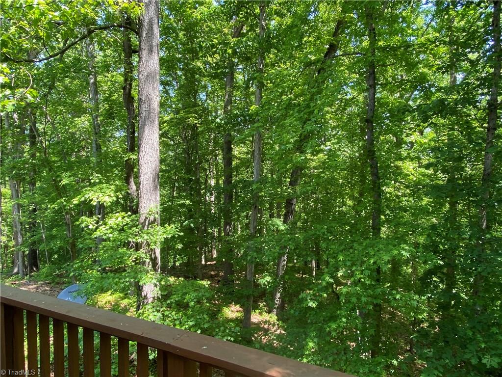 800 Scott Road Lewisville, NC 27023 - Photo 27 of 30 Welcome to the Tree House