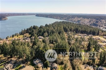 2218 Lybecker Road Northwest Gig Harbor, WA 98332 - Photo 8 of 10 a view of a lake with a mountain in the background