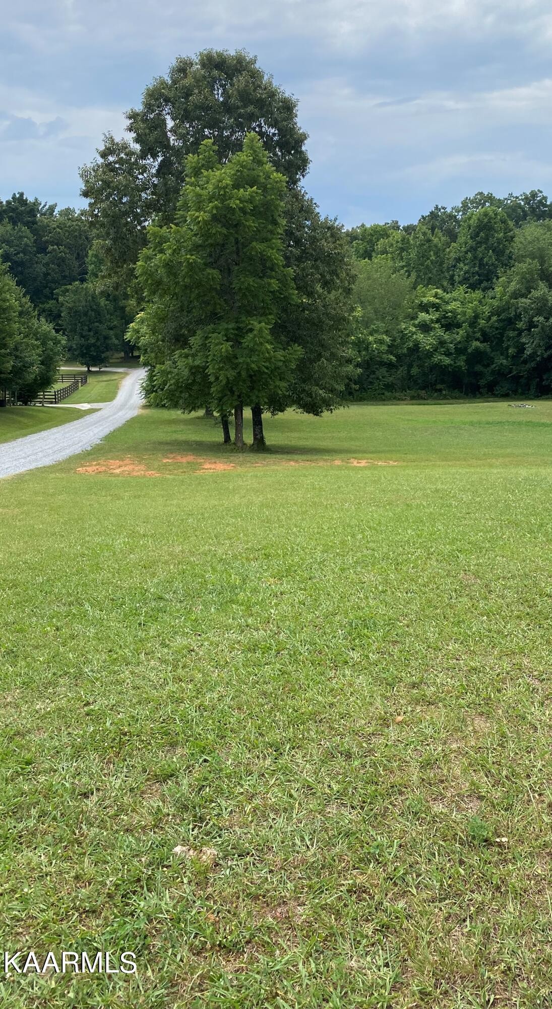 0 Pea Ridge Road Maryville, TN 37804 - Photo 1 of 2 Gallery Image 1