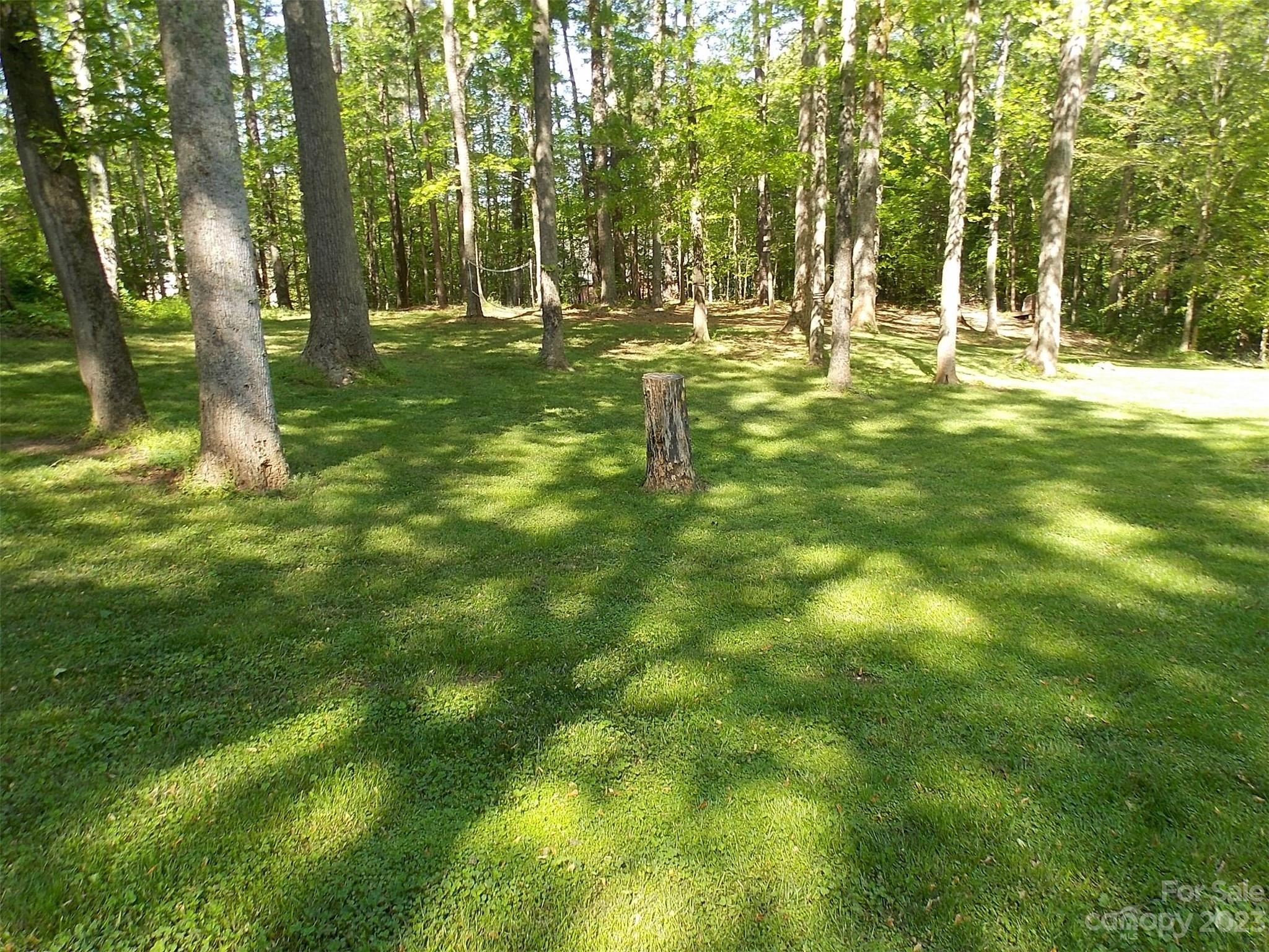 1800 Williams Road Fort Mill, SC 29715 - Photo 16 of 23 a backyard of a house with table and chairs