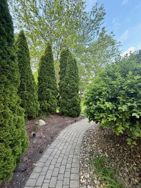 9261 Ruth Court St. John, IN 46373 - Photo 48 of 48 a view of a pathway both side of yard