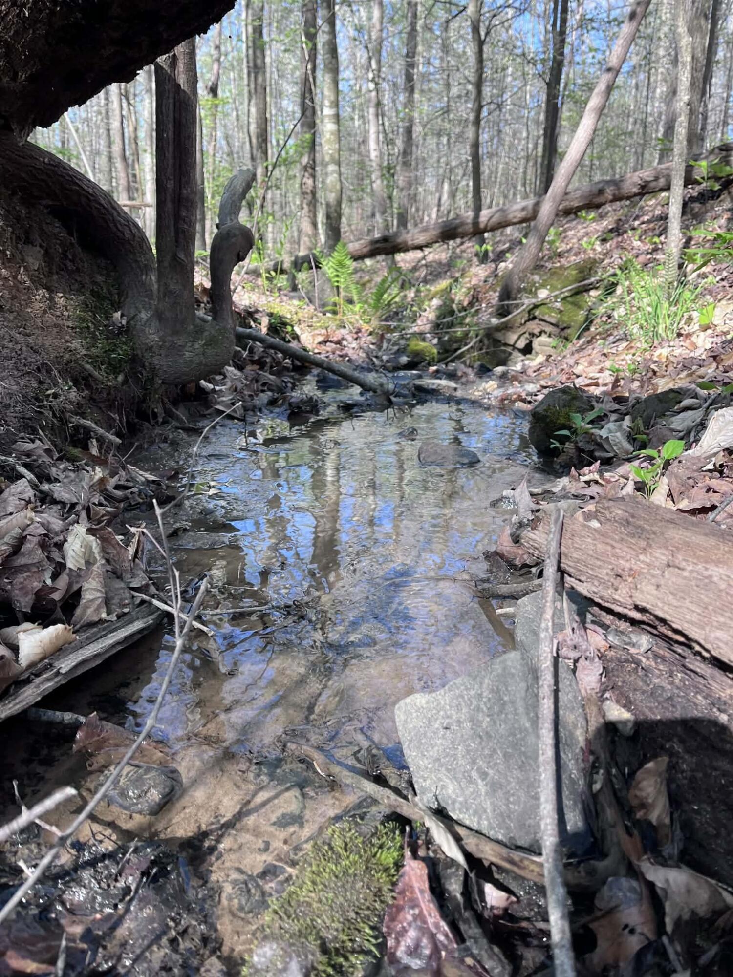 1207 Wimpy Road Ringgold, GA 30736 - Photo 32 of 37 Creek
