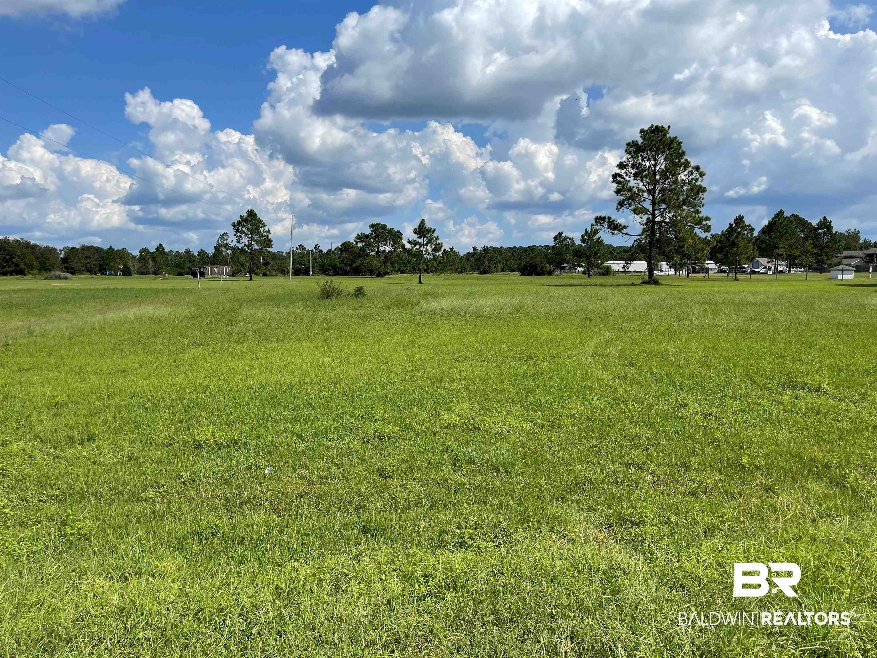 North River Road North Foley, AL 36535 - Photo 4 of 6