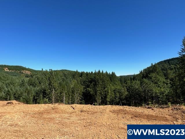 526258 Southwest Pumpkinseed Road Willamina, OR 97396 - Photo 1 of 24