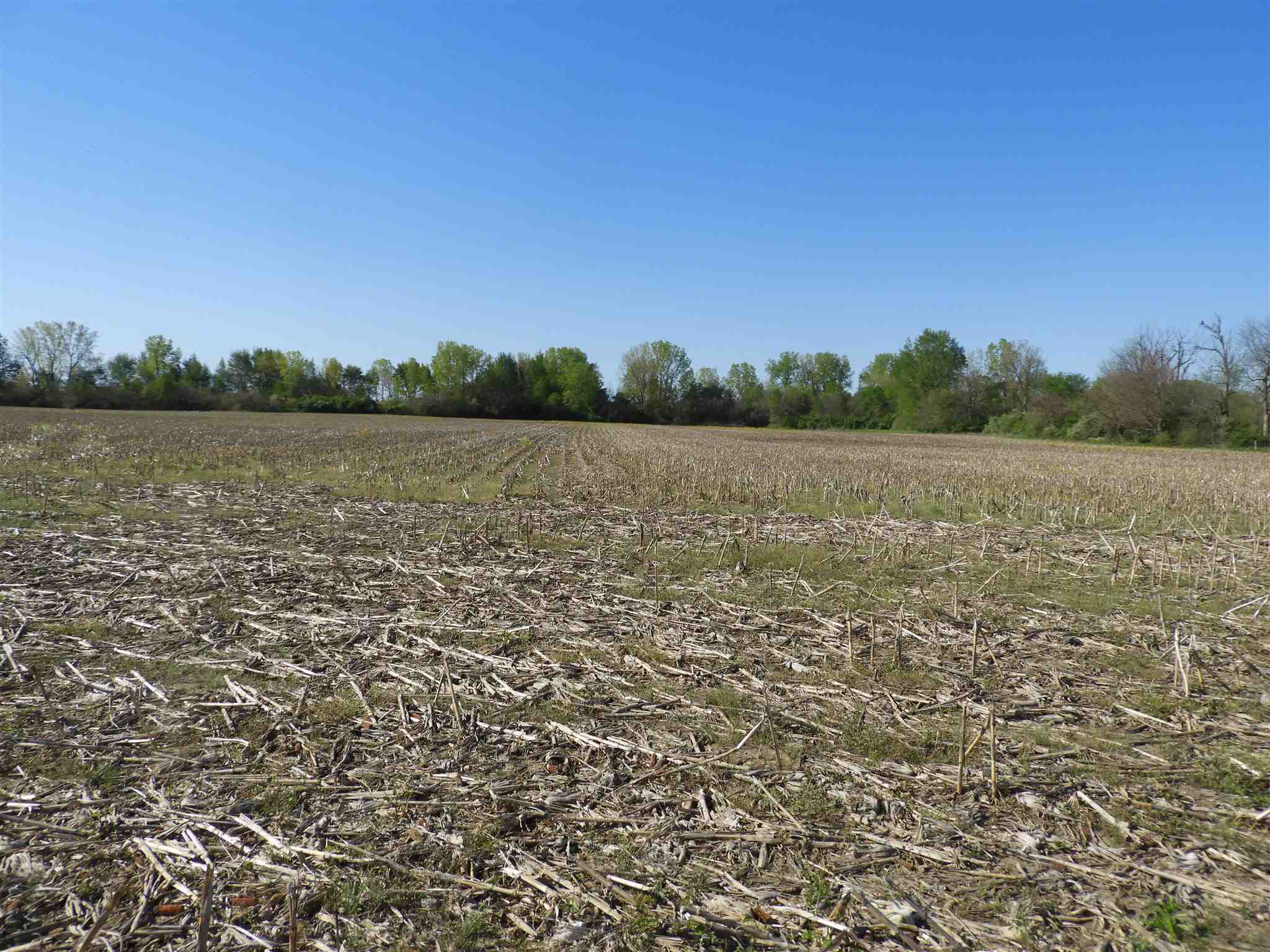 36 Highway 36 Pendleton, IN 46064 - Photo 4 of 5 Gallery Image 4