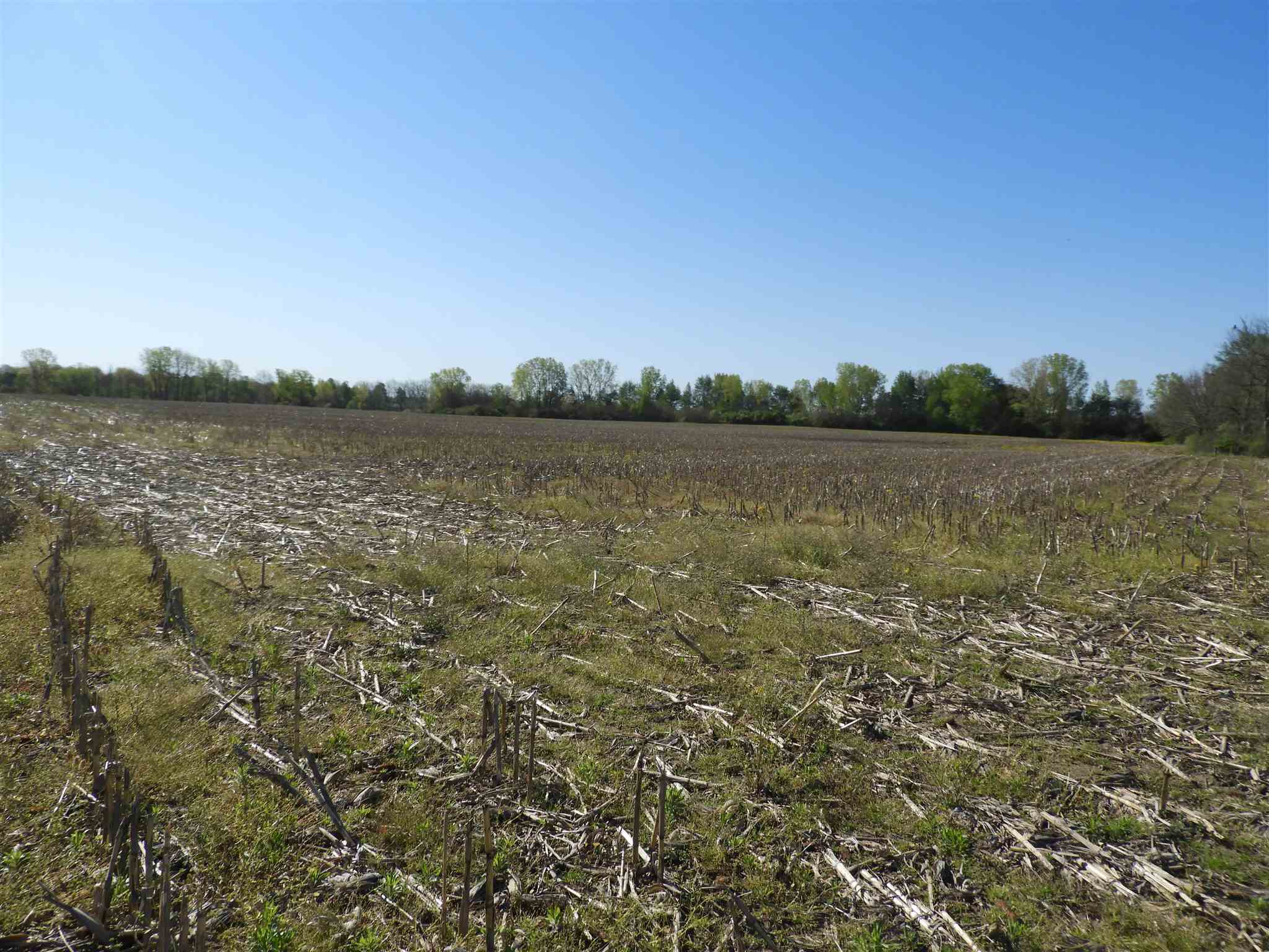 36 Highway 36 Pendleton, IN 46064 - Photo 5 of 5 Gallery Image 5