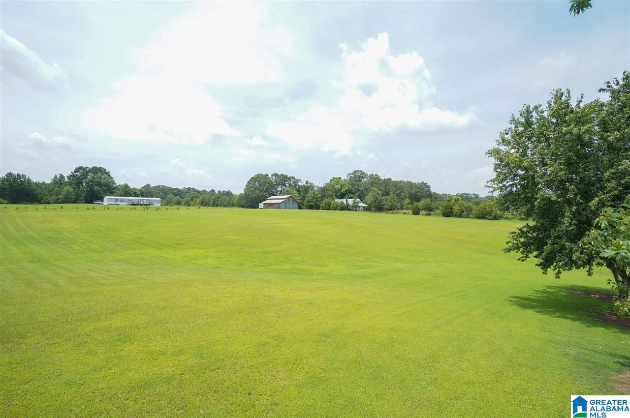 180 Tuscaloosa Road Thorsby, AL 35171 - Photo 42 of 49