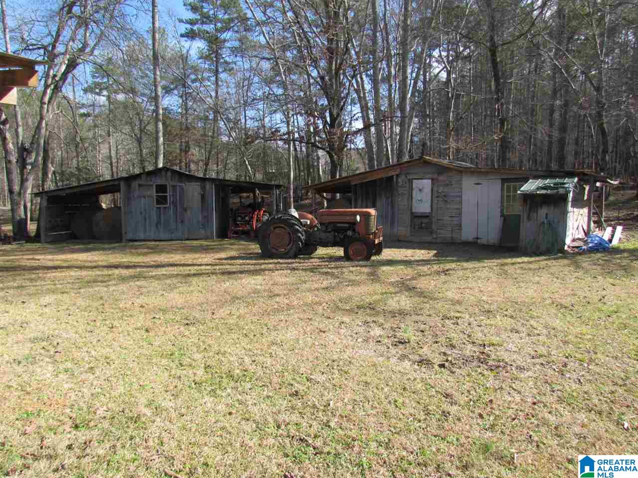 7668 Rabbittown Road Piedmont, AL 36272 - Photo 36 of 49