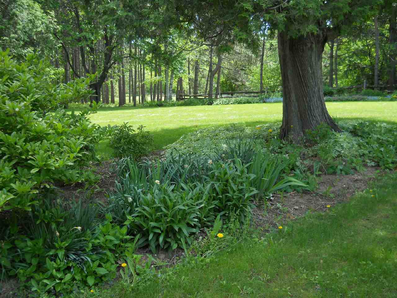 338 South Forty Road Shelburne, VT 05482 - Photo 23 of 32 Gallery Image 23