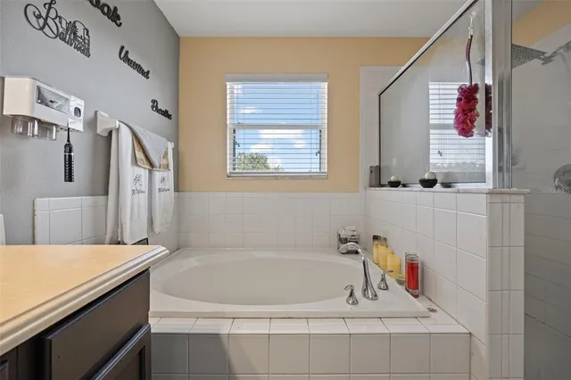a bathroom with a tub sink and mirror