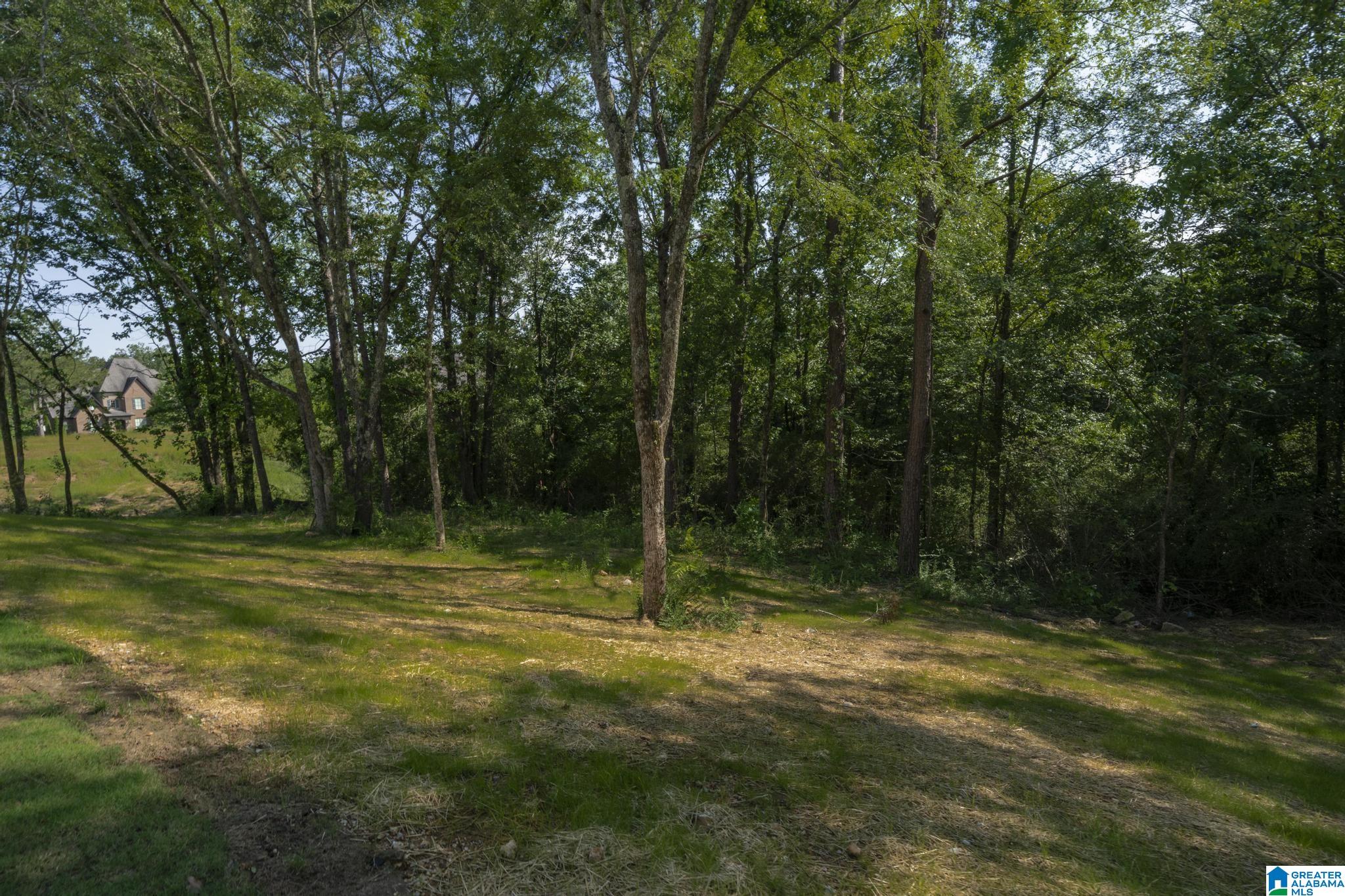 6558 Deerfoot Crossing Road Trussville, AL 35173 - Photo 57 of 59