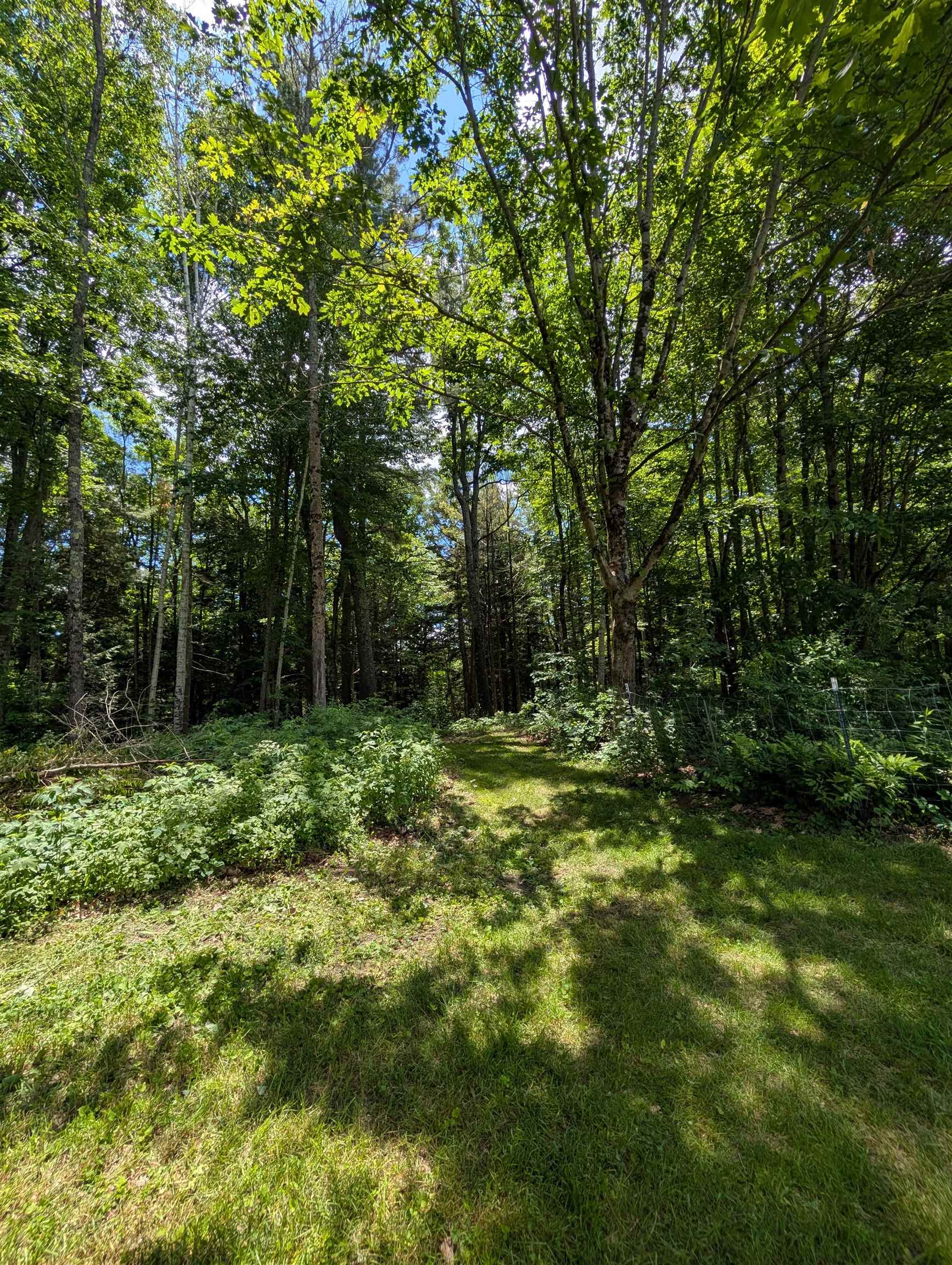 315 Rte 4a West Castleton, VT 05735 - Photo 44 of 58