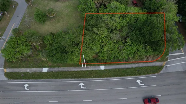 a view of a flower in a yard