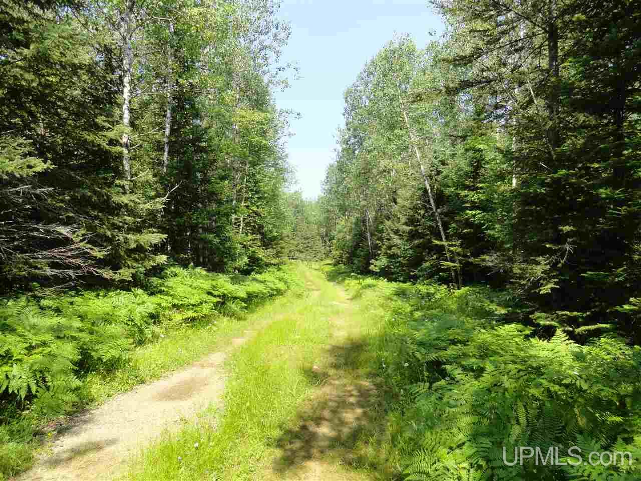 8878 Co Road Republic, MI 49879 - Photo 21 of 34