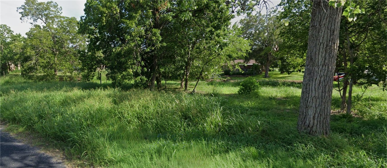 101 North Victoria Street Victoria, TX 77901 - Photo 2 of 6 a view of a lush green space