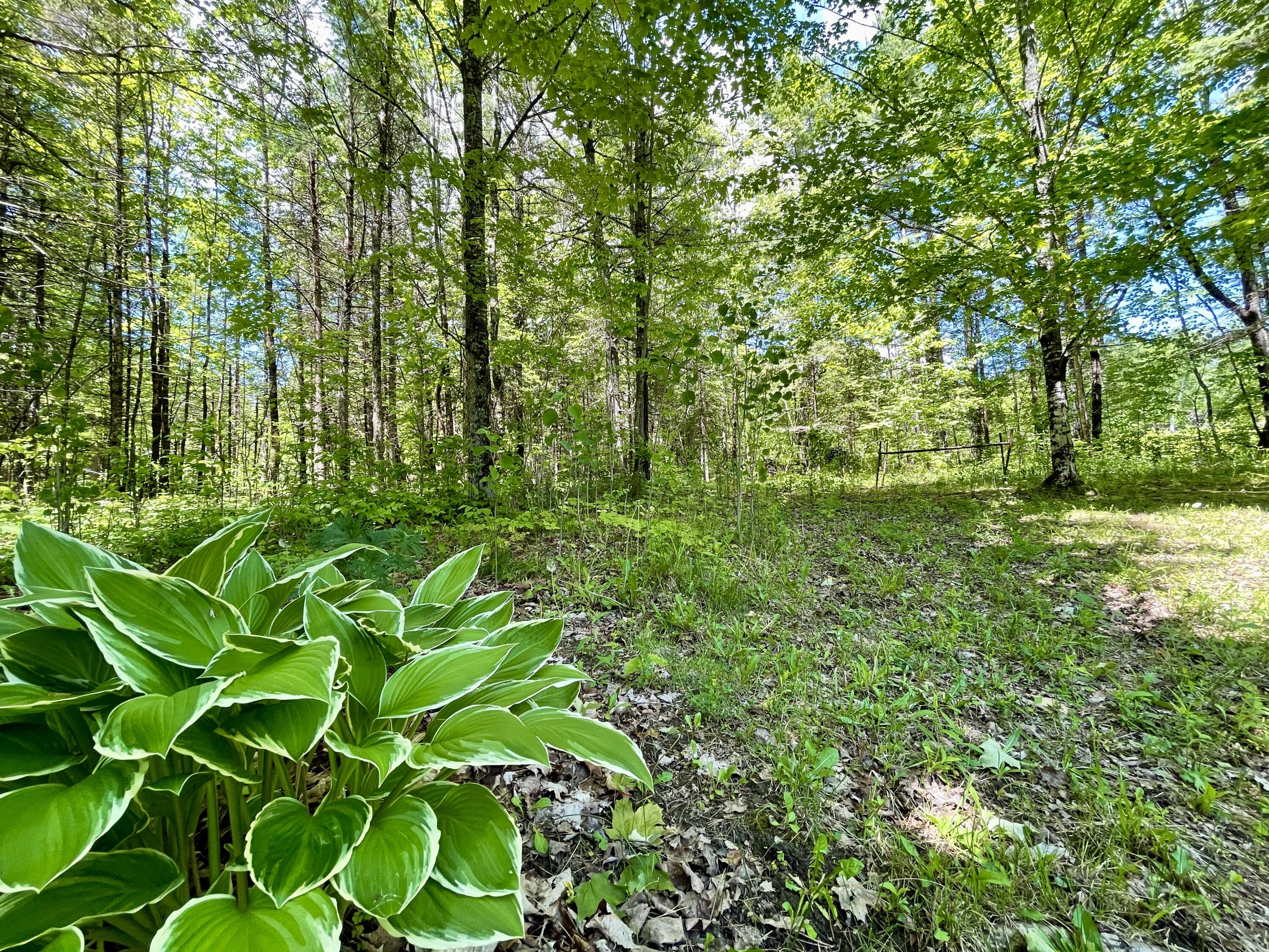 413 Milo Road Sebec, ME 04481 - Photo 29 of 52 IMG_7180