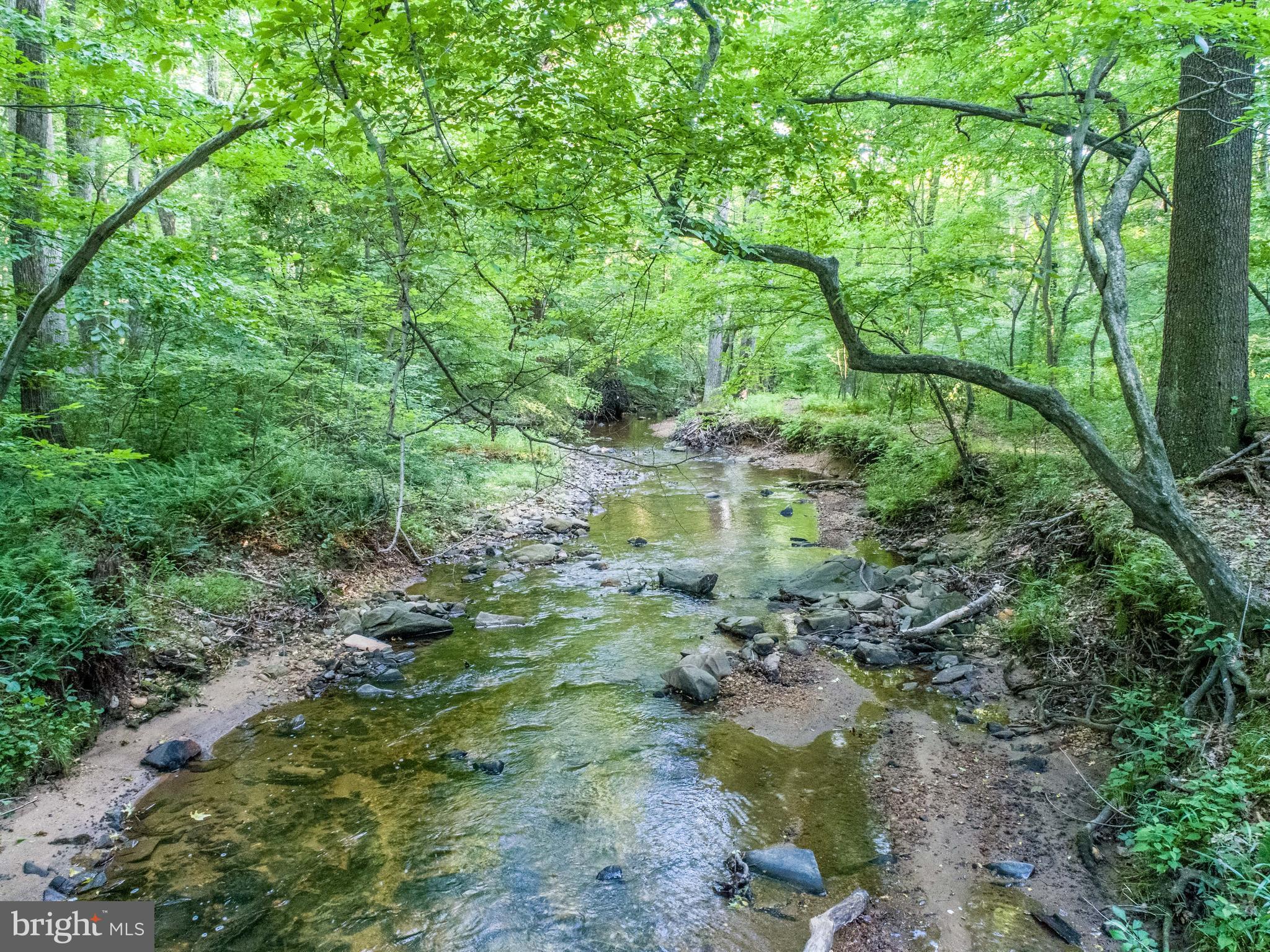 1281 Cedar Corner Road Perryville, MD 21903 - Photo 6 of 30 MILL CREEK!
