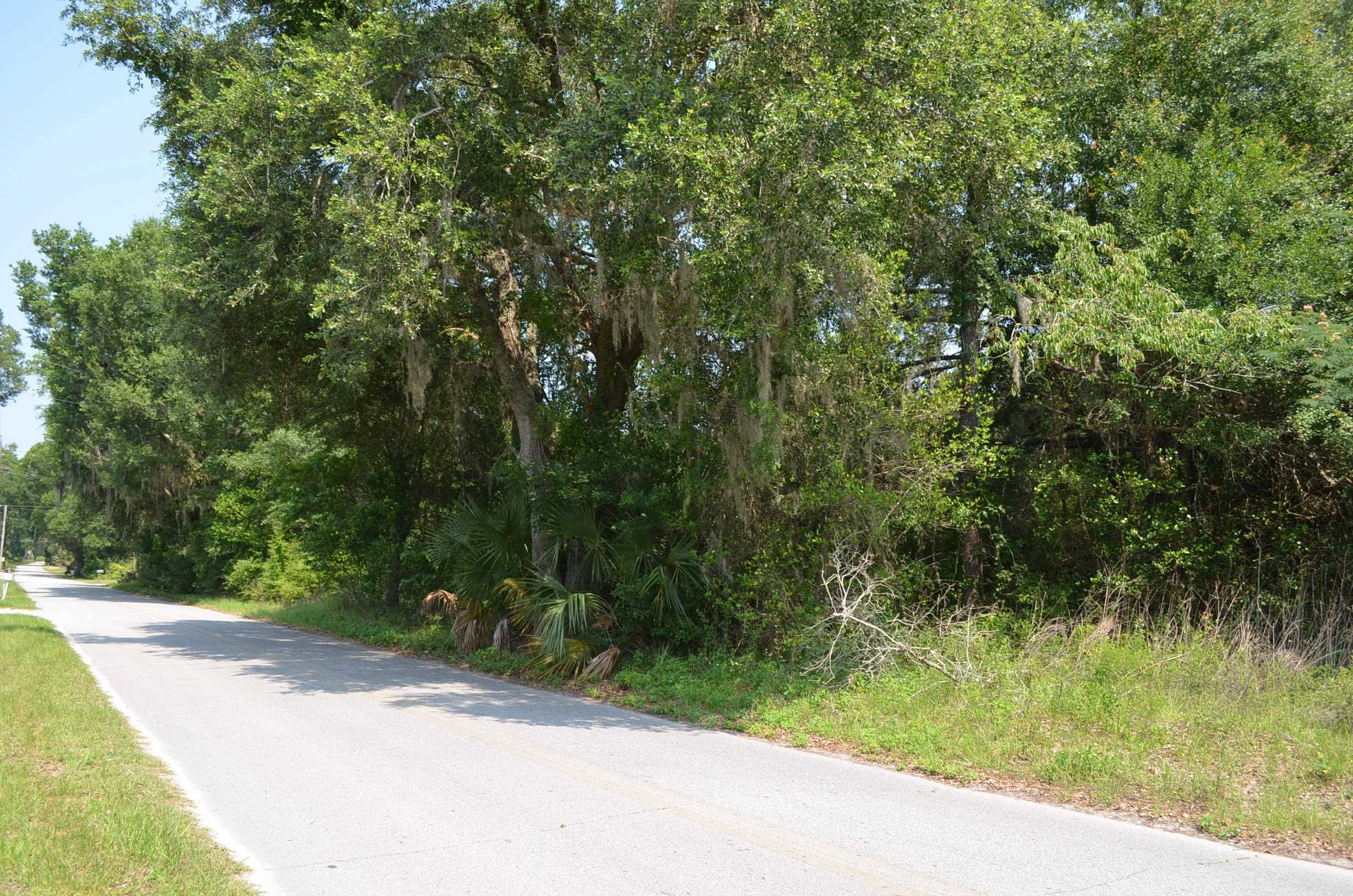 Tbd Sam Poppell Road Perry, FL 32347 - Photo 8 of 18