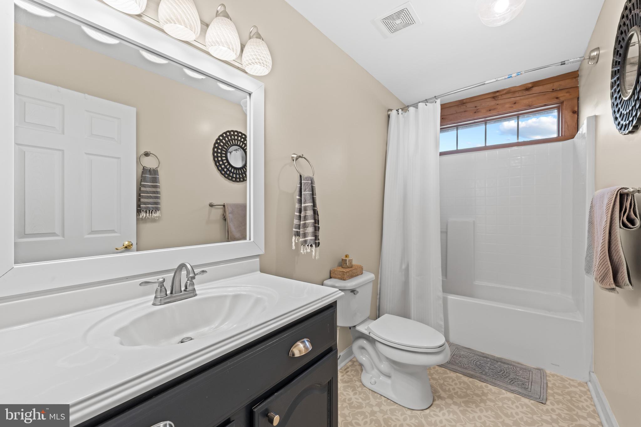 4112 Jacks Shop Road Rochelle, VA 22738 - Photo 17 of 54 a bathroom with a sink a toilet and shower