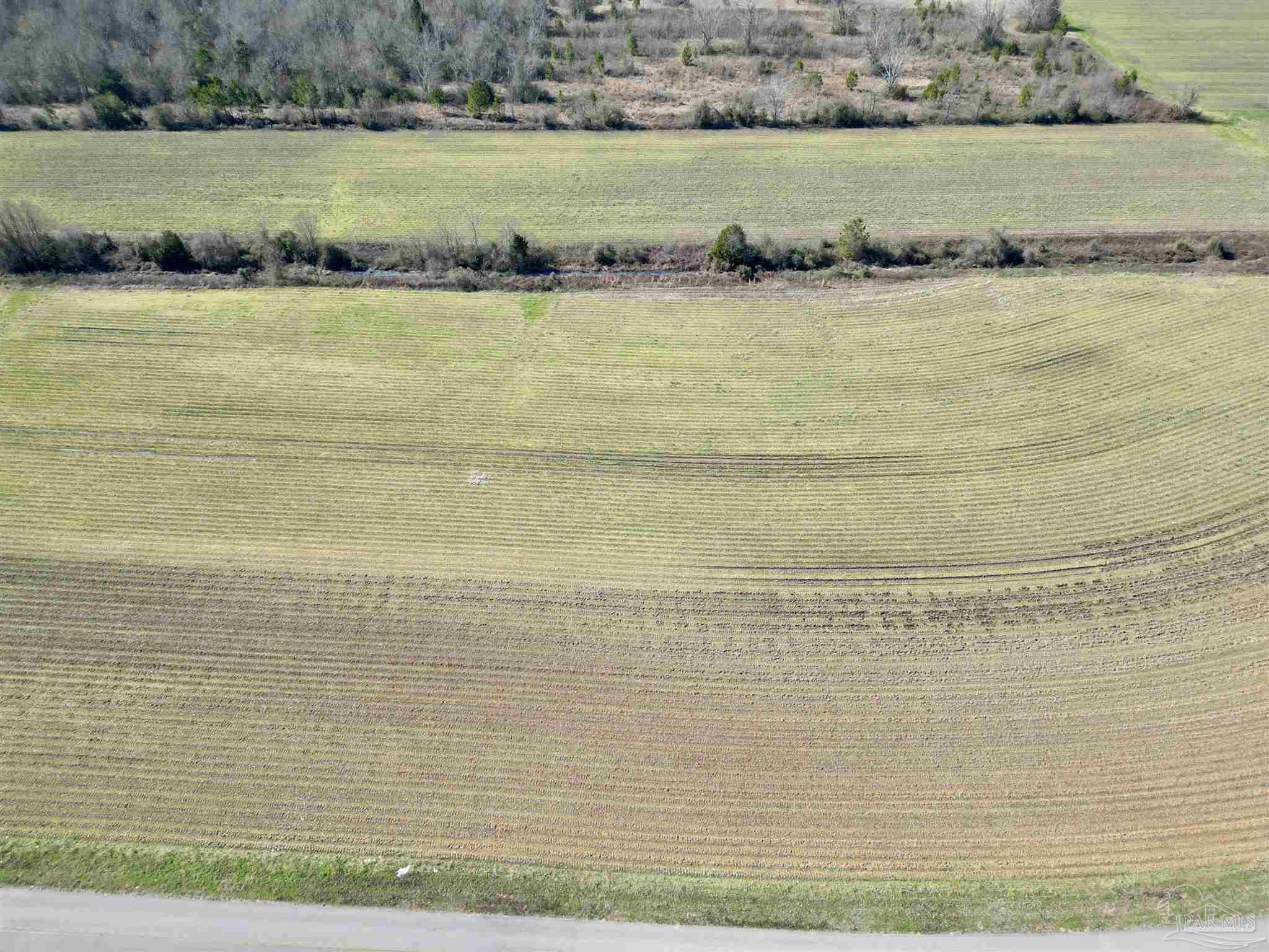 7 Cowpen Creek Road Atmore, AL 36502 - Photo 6 of 14