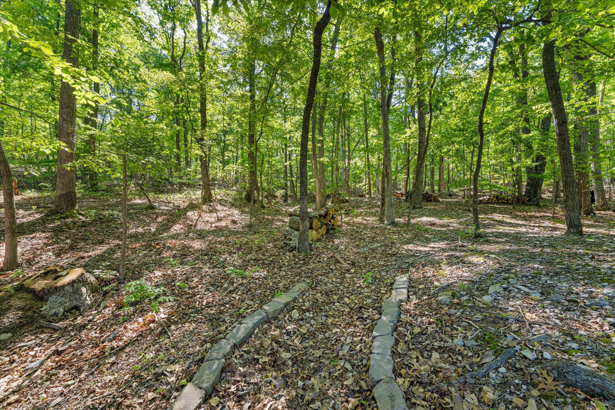 3800 Mountain Road Haymarket, VA 20169 - Photo 35 of 73 Peaceful walking path through trees.