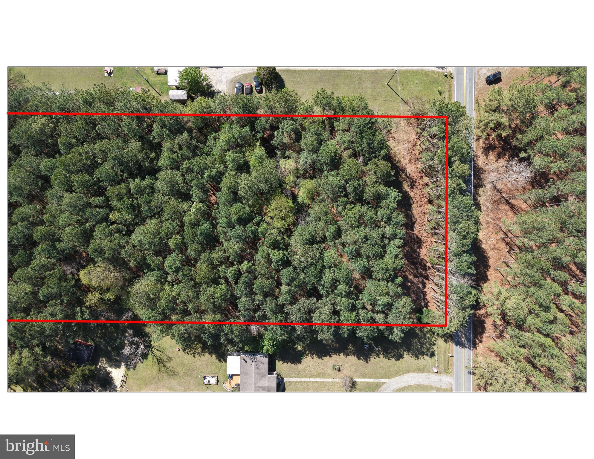 0 Western Mill Road Lawrenceville, VA 23868 - Photo 4 of 11