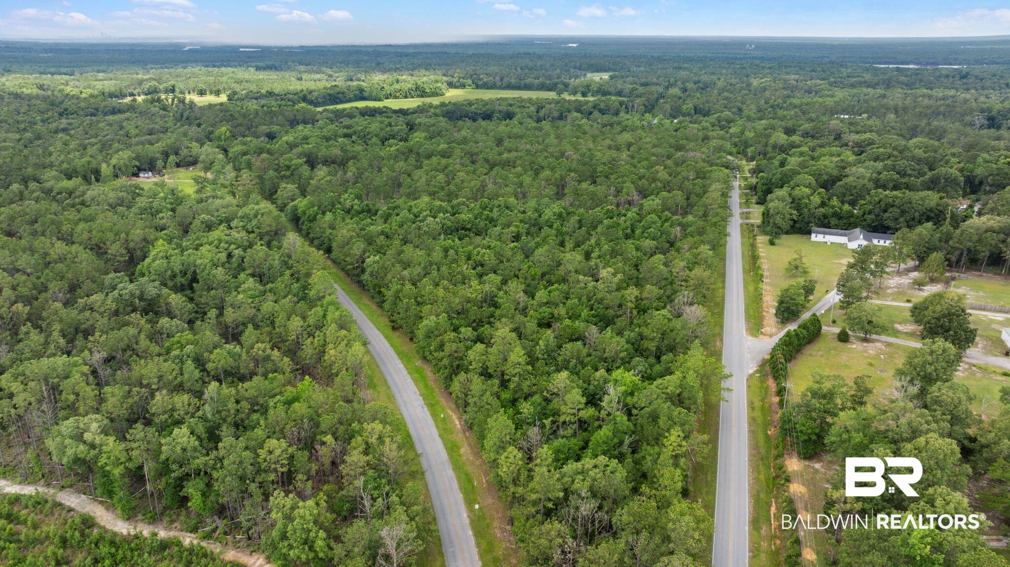 0 Hurricane Road Bay Minette, AL 36507 - Photo 11 of 30