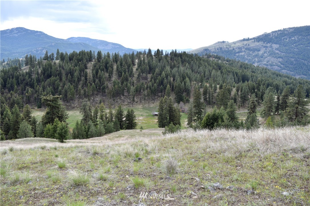 102 Four Winds Road Curlew, WA 99118 - Photo 14 of 25 Gallery Image 14