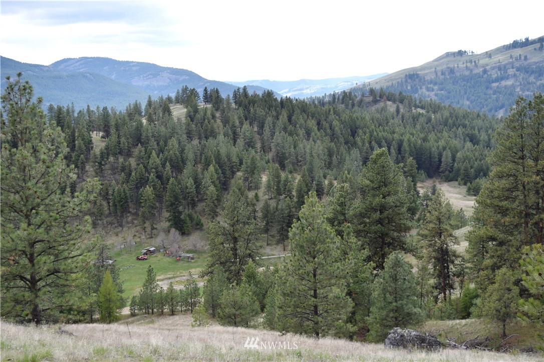 102 Four Winds Road Curlew, WA 99118 - Photo 16 of 25 Gallery Image 16